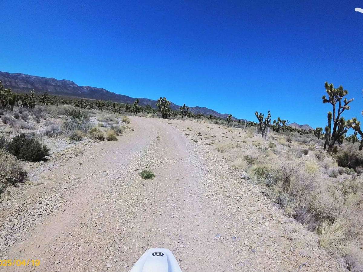 Pine Nut Road photo 5