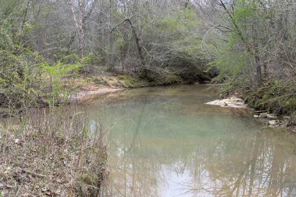 Creek Loop