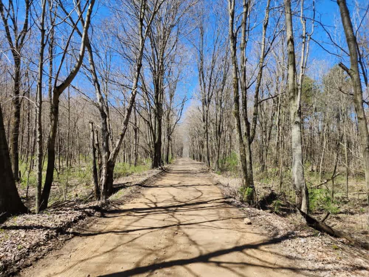 The Monteola Corridor photo 4