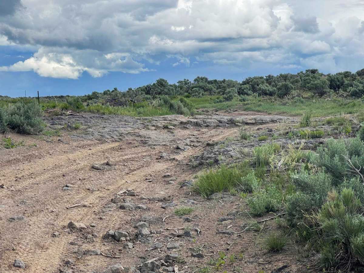 Menan Butte to Market Lake photo 4