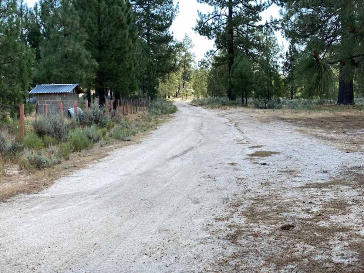 Old Road to Rancho Venados photo 2