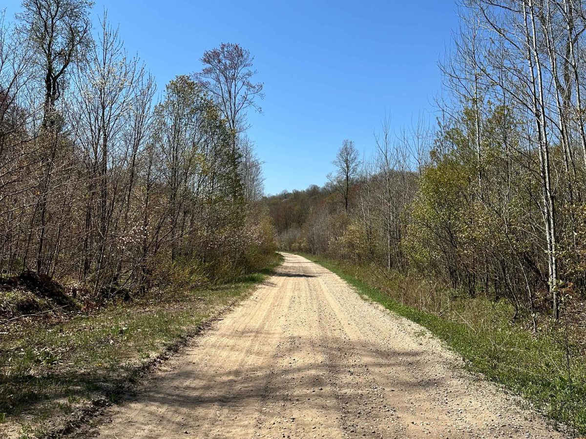 Cadillac Area ORV/OHV Scenic Ride - Part 15 photo 2