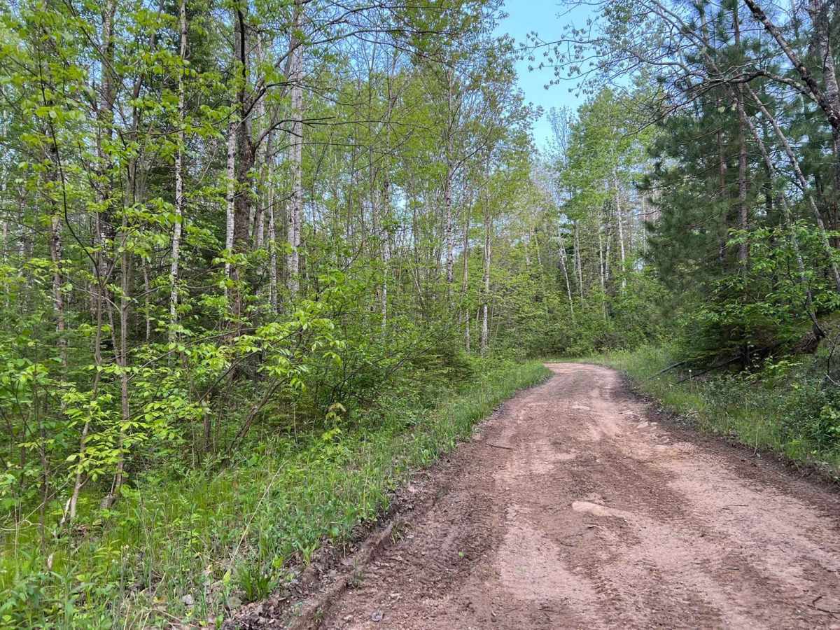 Norway Truck Trail (NWT) Trail 5 North photo 6