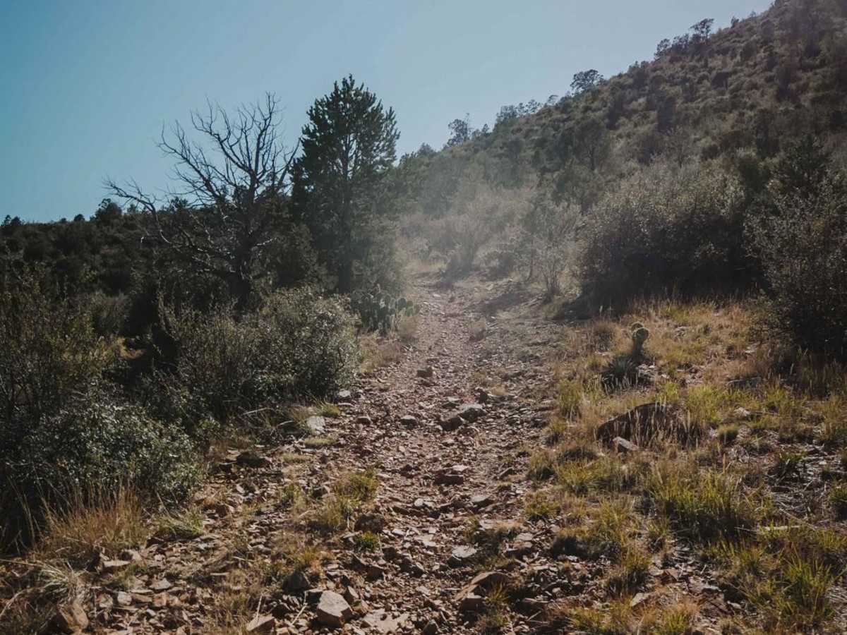 Charcoal Gulch photo 5