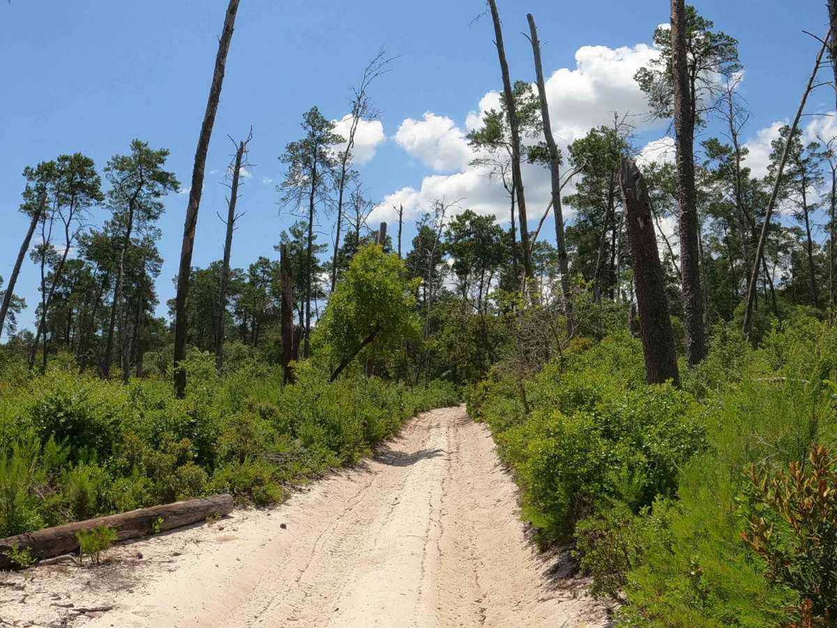 Hog Valley Trail photo 4