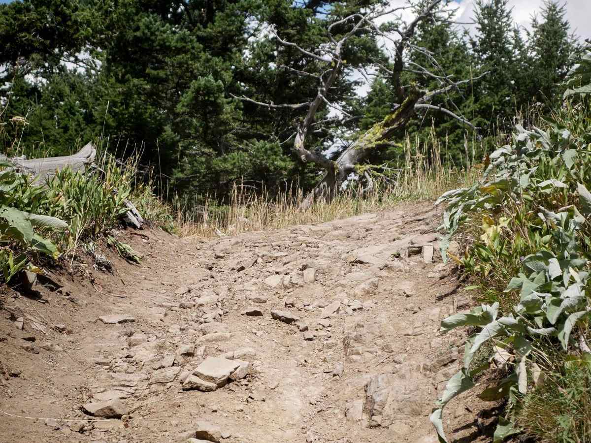 Jackson Creek ATV photo 5
