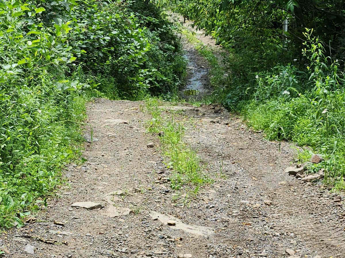 Trail 6F - Rock Run Recreation Area photo 3
