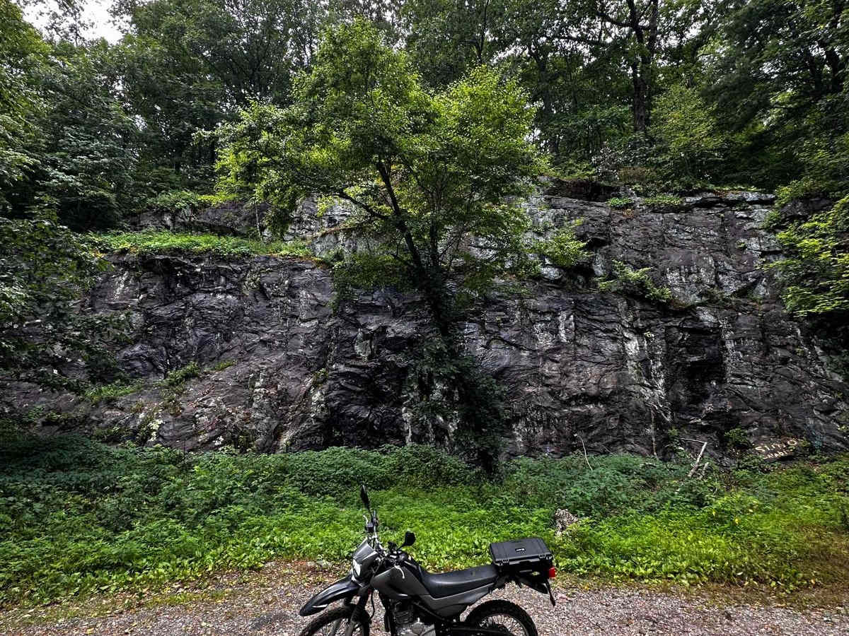 Blue Ridge FS #42 E trail photo