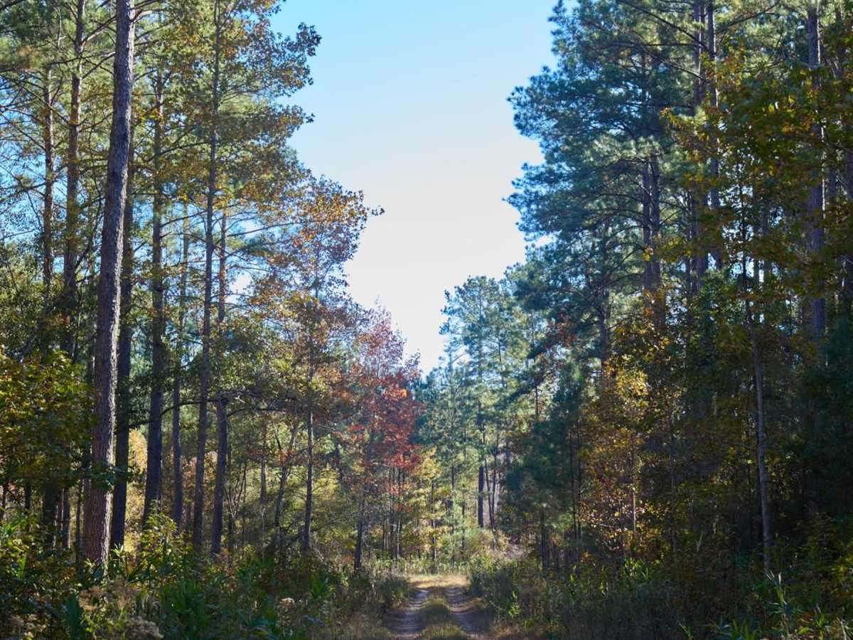 Wardfield Spur A - FSR212A photo 4