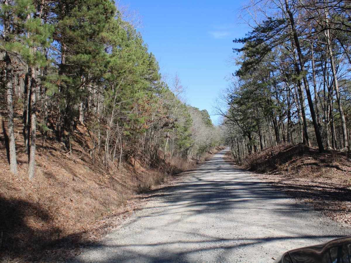 Hickory Nut Mountain photo 5