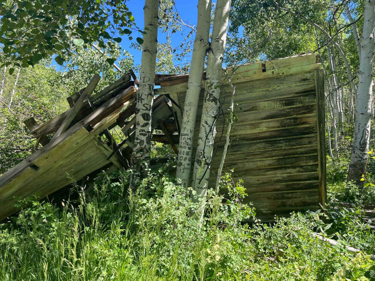 West Portal photo 4