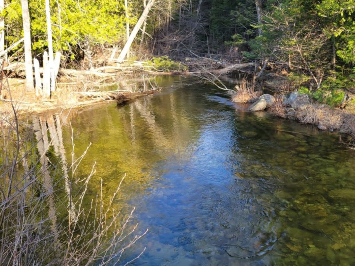 West Lake Southern Tip photo 3