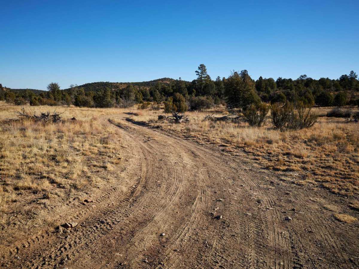 Walnut Creek photo 5
