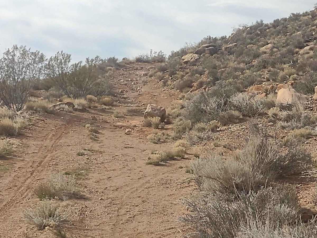 Red Cliffs Hidden Canyons View photo 3
