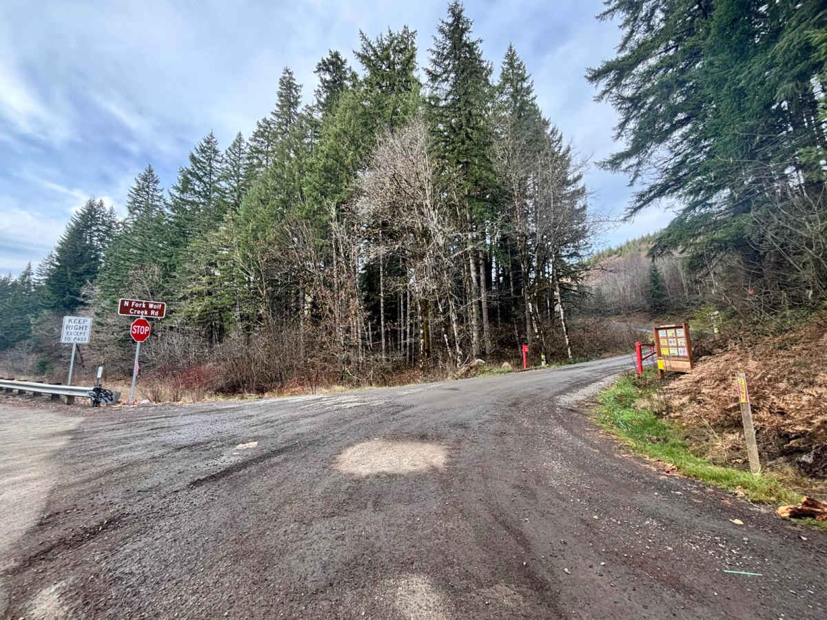 North Fork Wolf Creek Road photo 4