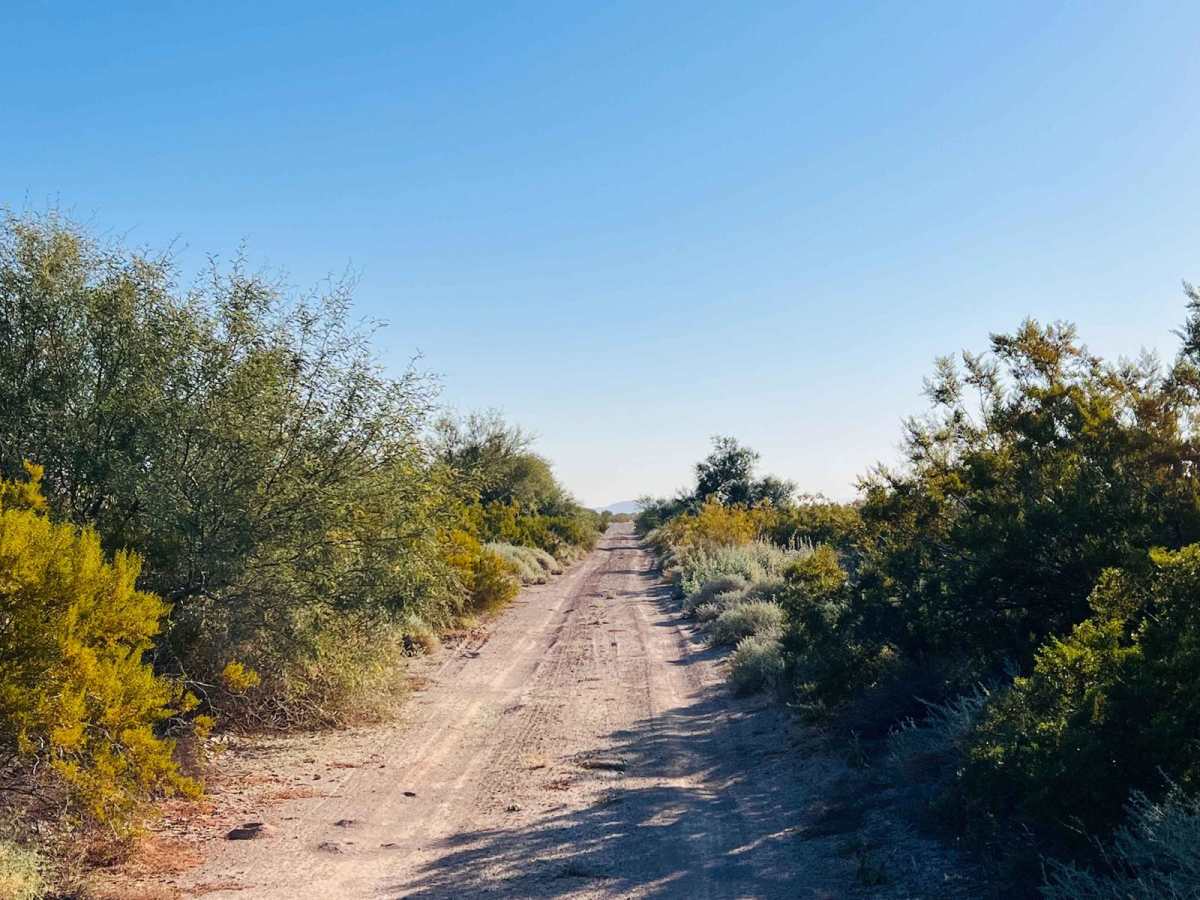 AZ Peace Trail Hovatter to Vicksburg Road photo 6