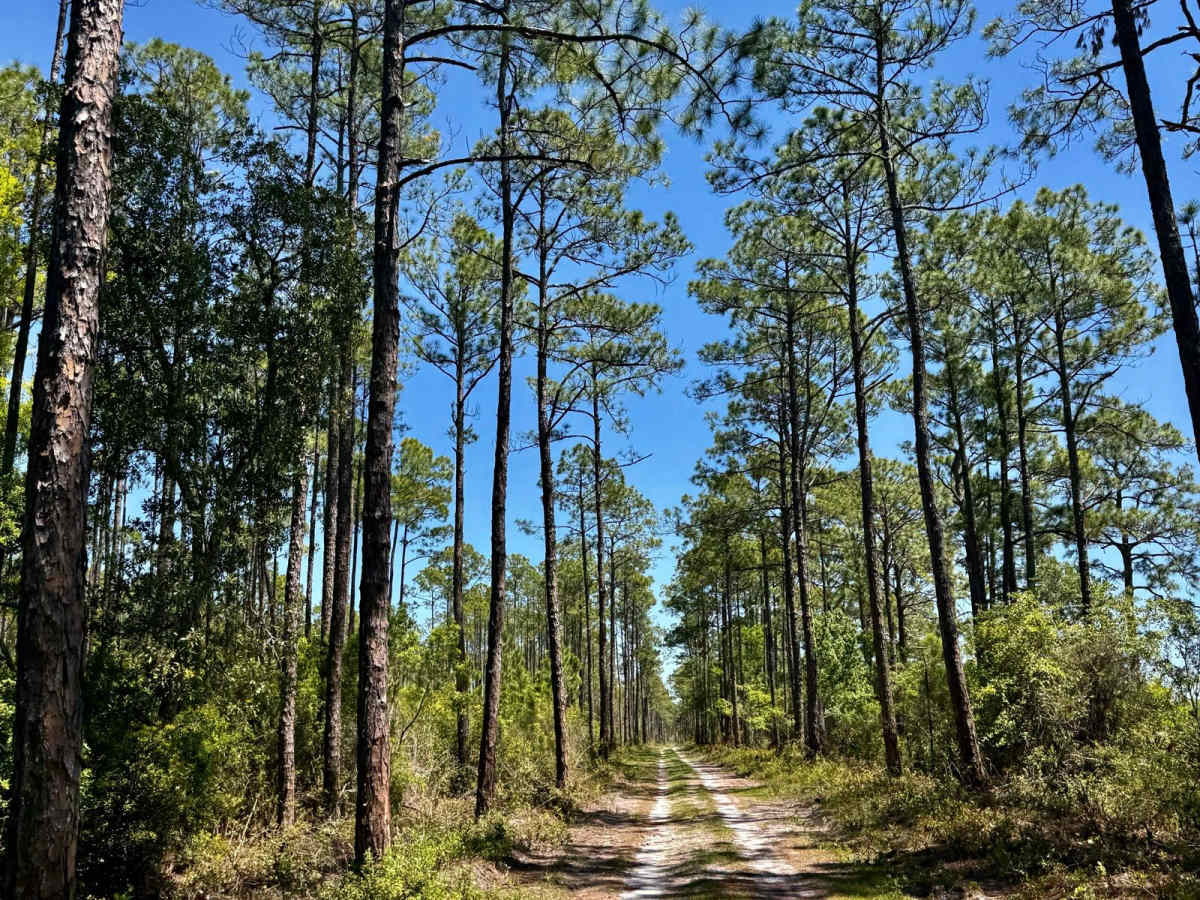 Road Camp Road photo 2