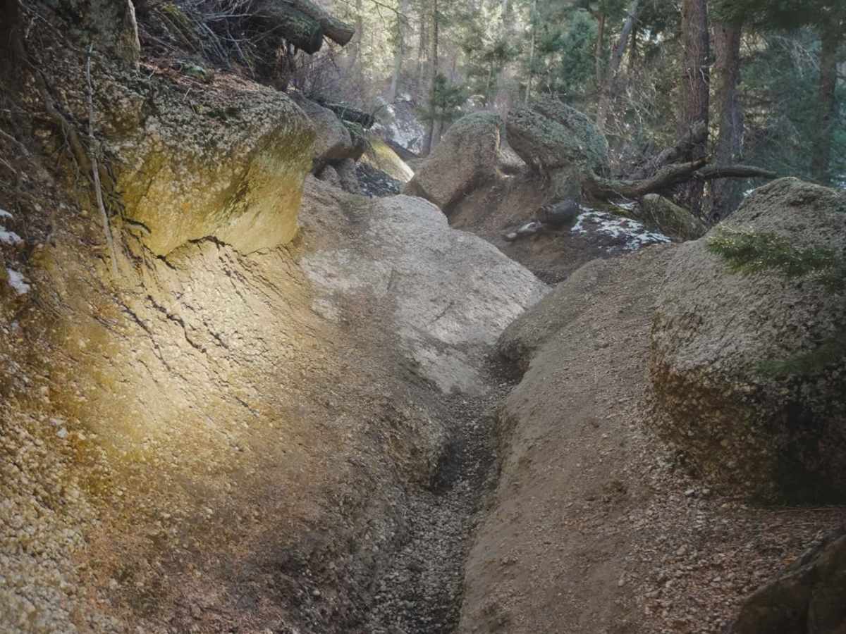 683 Fern Trail trail photo