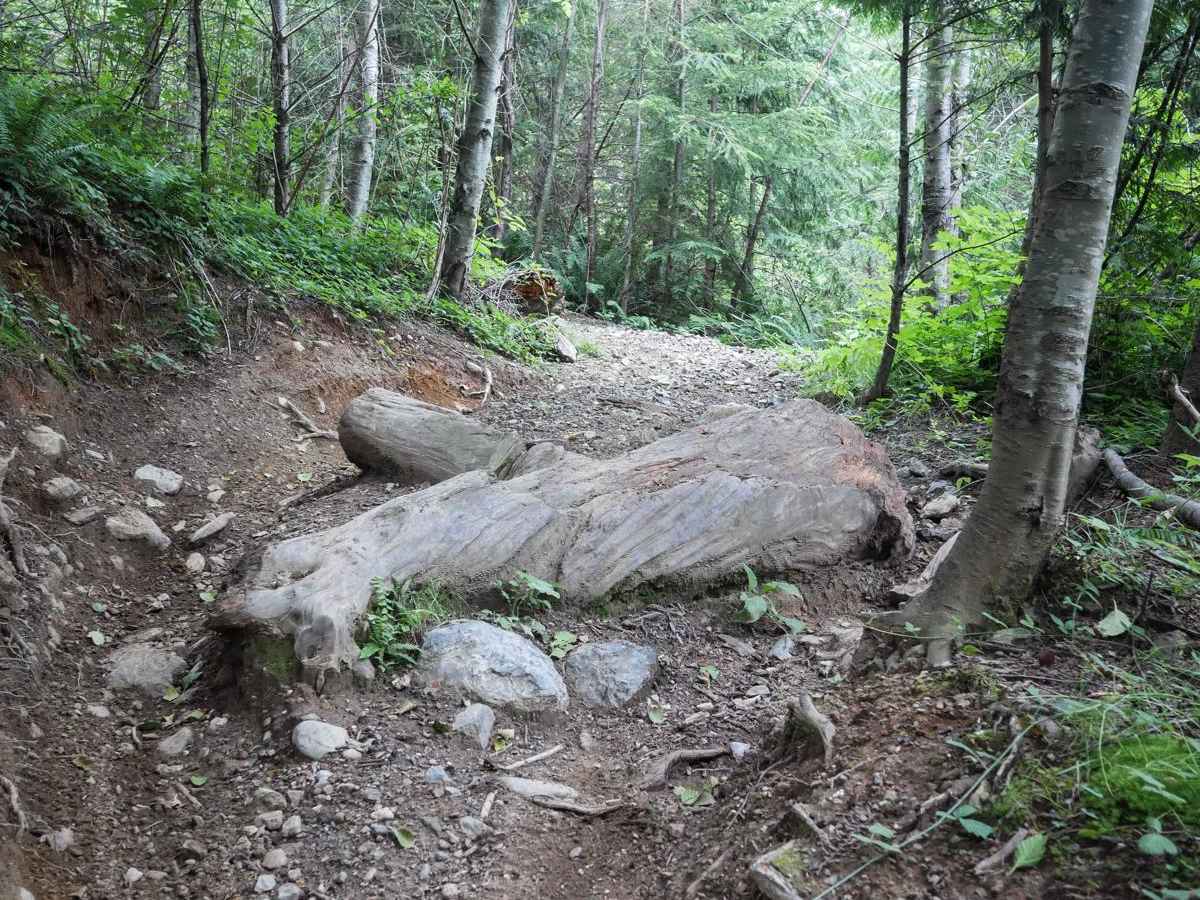 Ben's Revenge trail photo