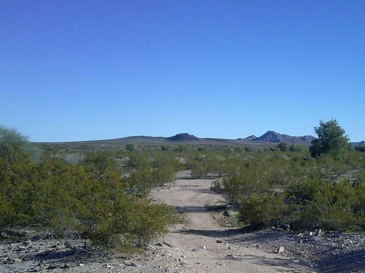 Rocky Camp photo 3