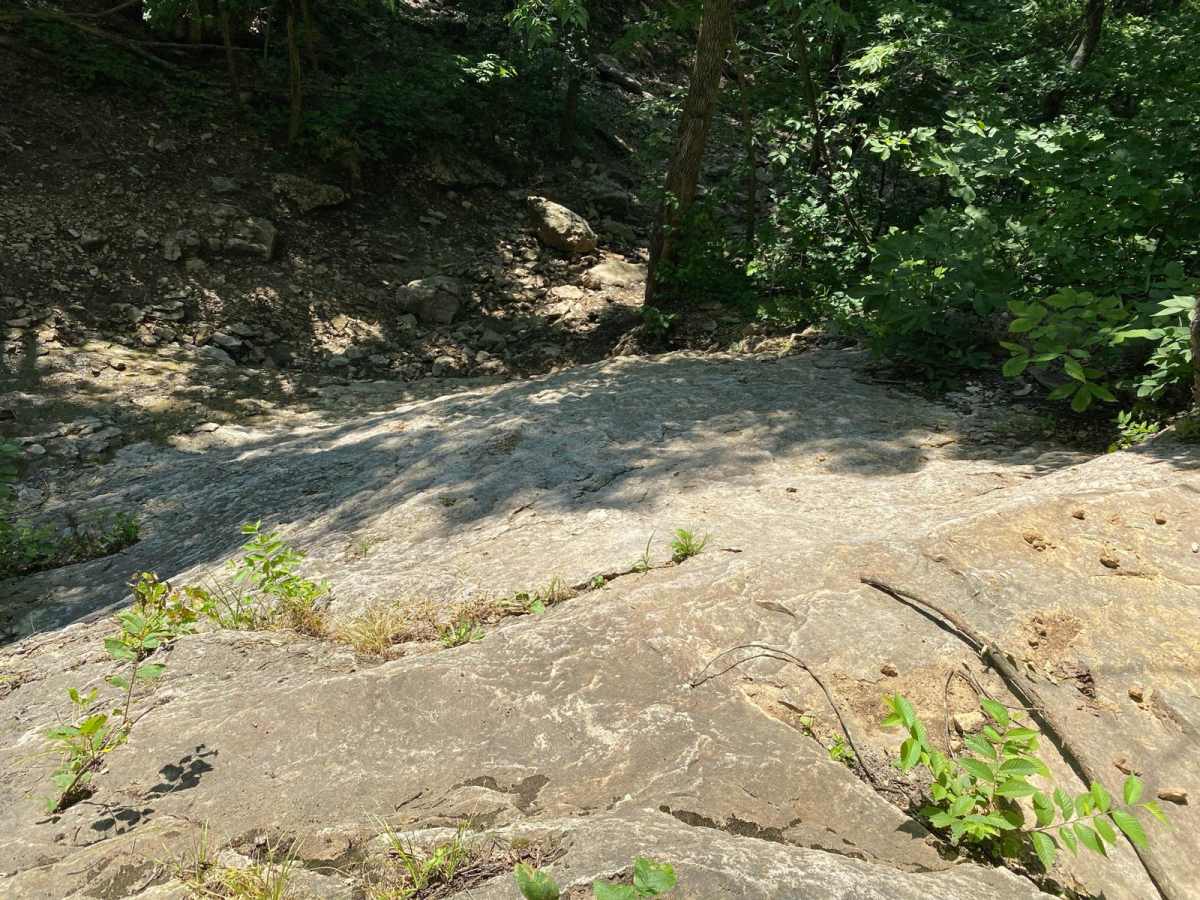 The Slab photo 5