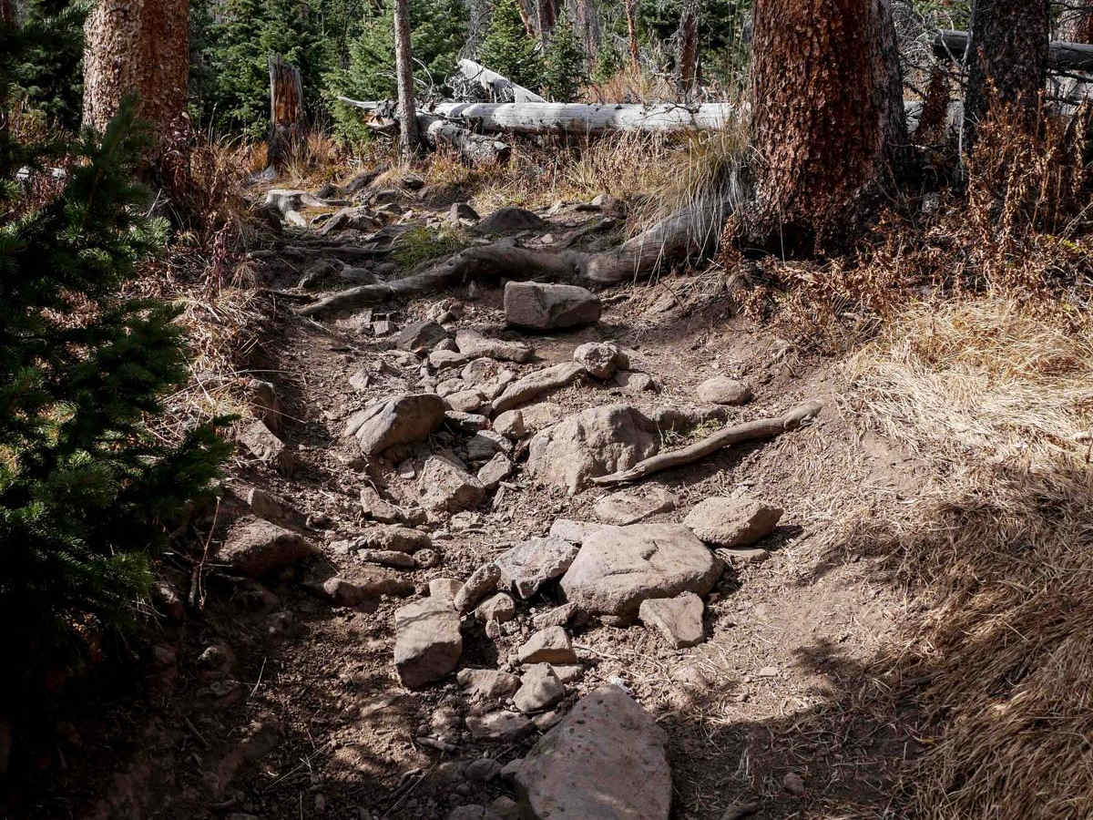 Perry Creek ATV photo 5