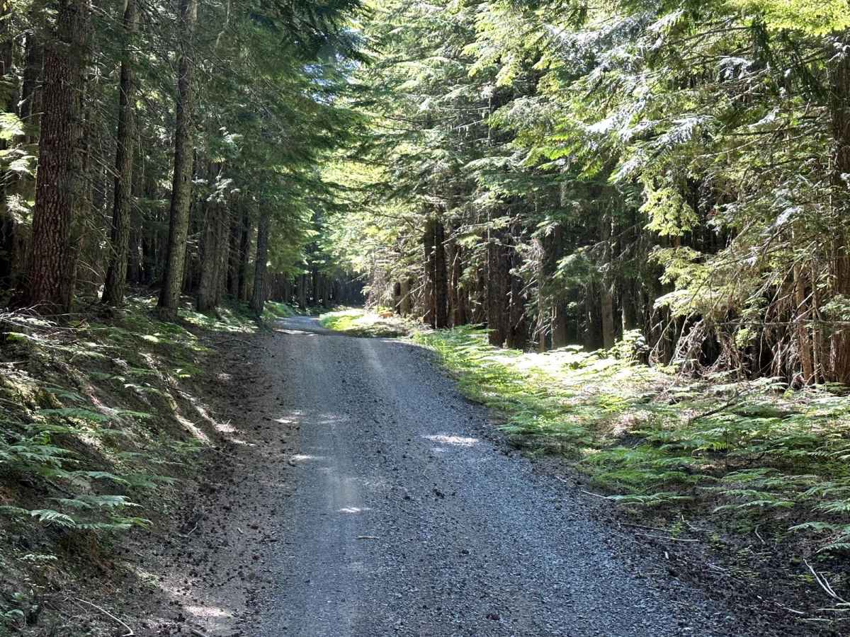 Burley Mountain Road photo 4