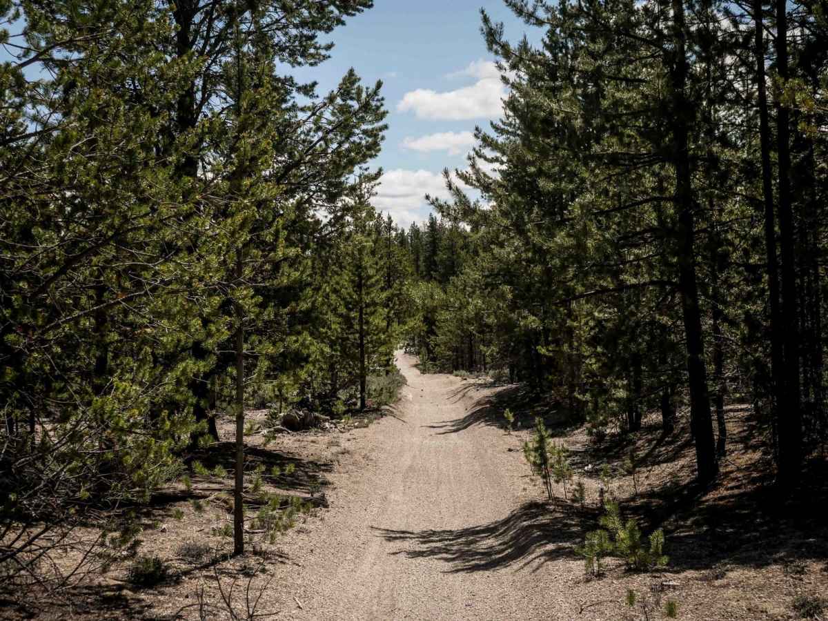 66 trail photo