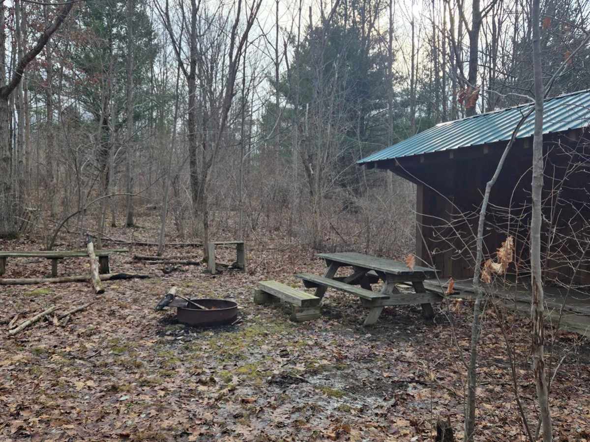 Van Amburg Road photo 5