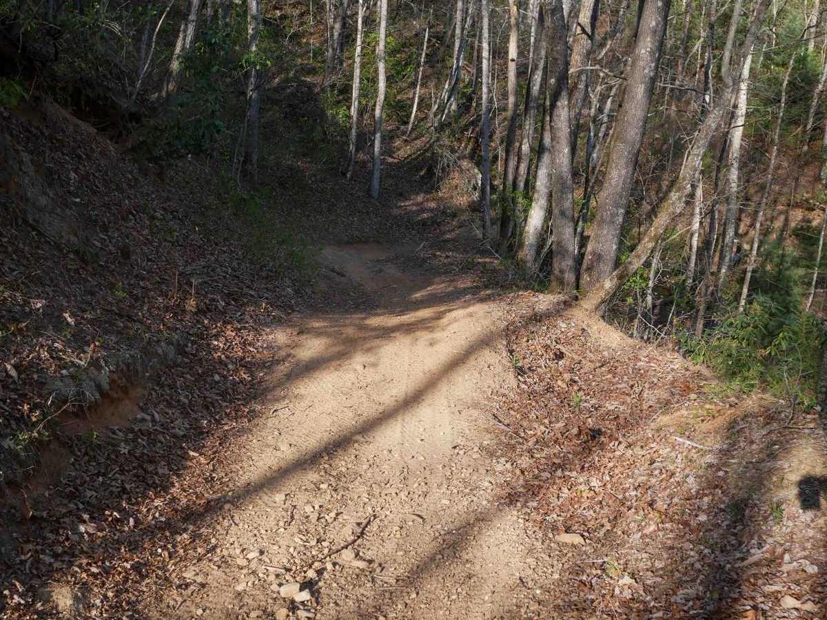 Blanton Branch Trail 10 photo 6