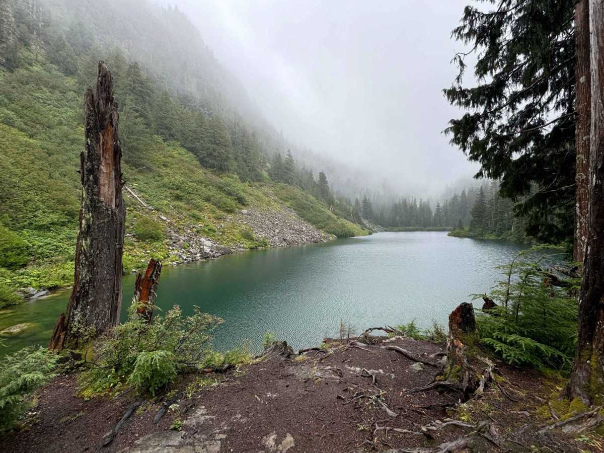 Coal Lake trail photo