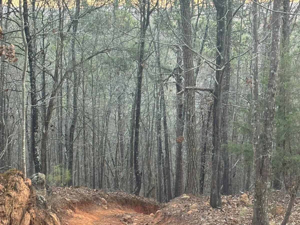 Lincoln View Trail trail photo