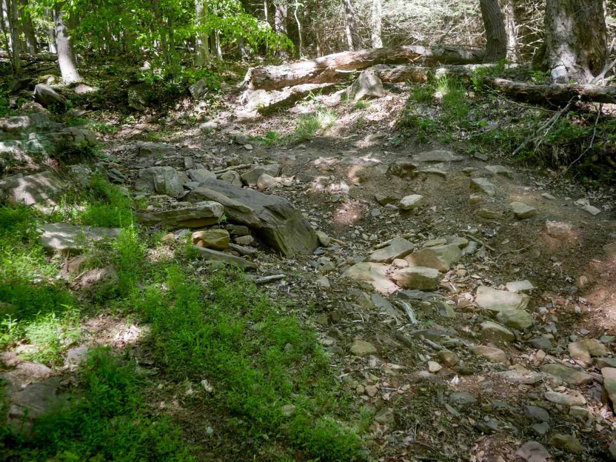 Trail 10 trail photo