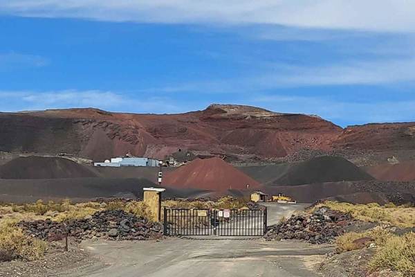 Pipken Cindercone