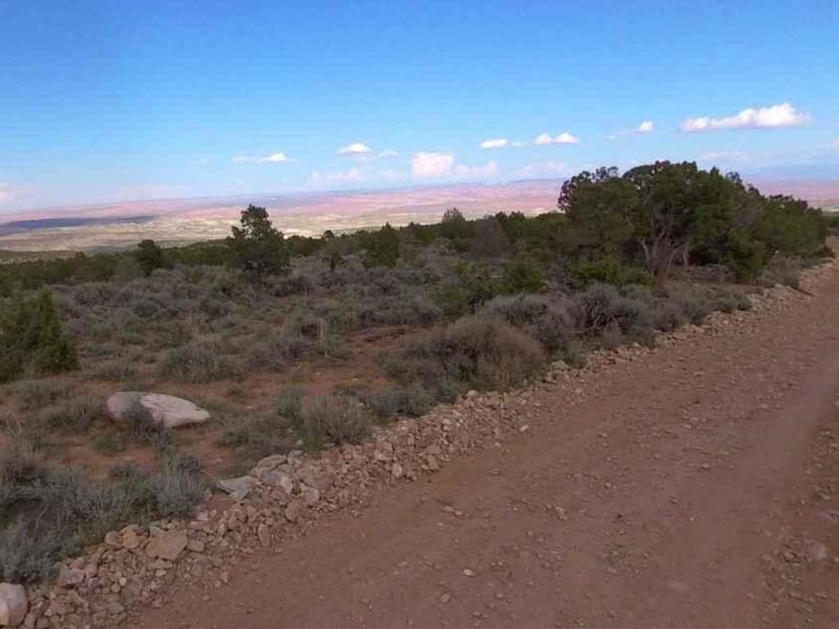 Trachyte Ranch Road - BLM14000 photo 5