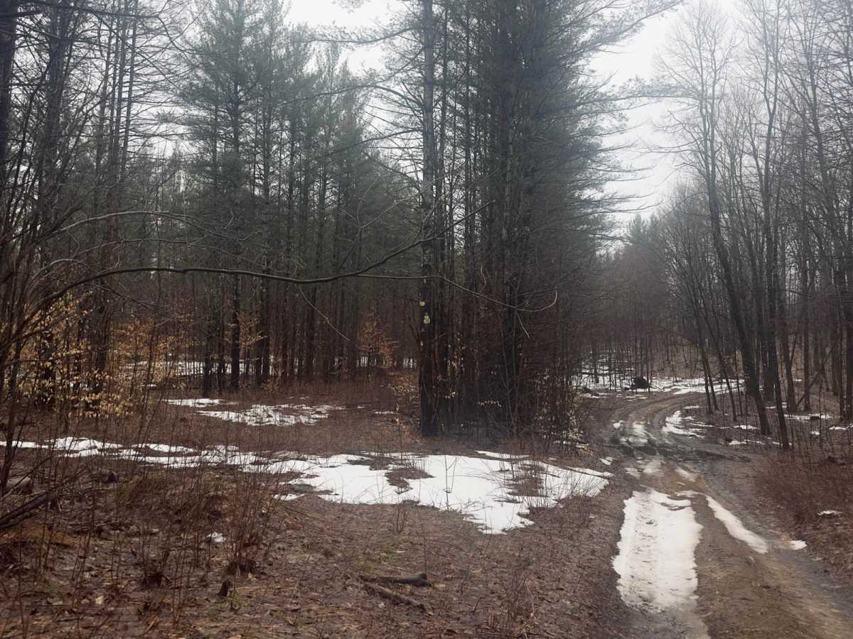 Richardson Road Northwest photo 3