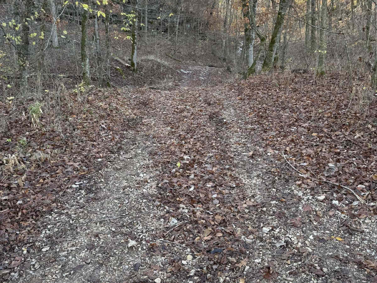 Red 163 trail photo