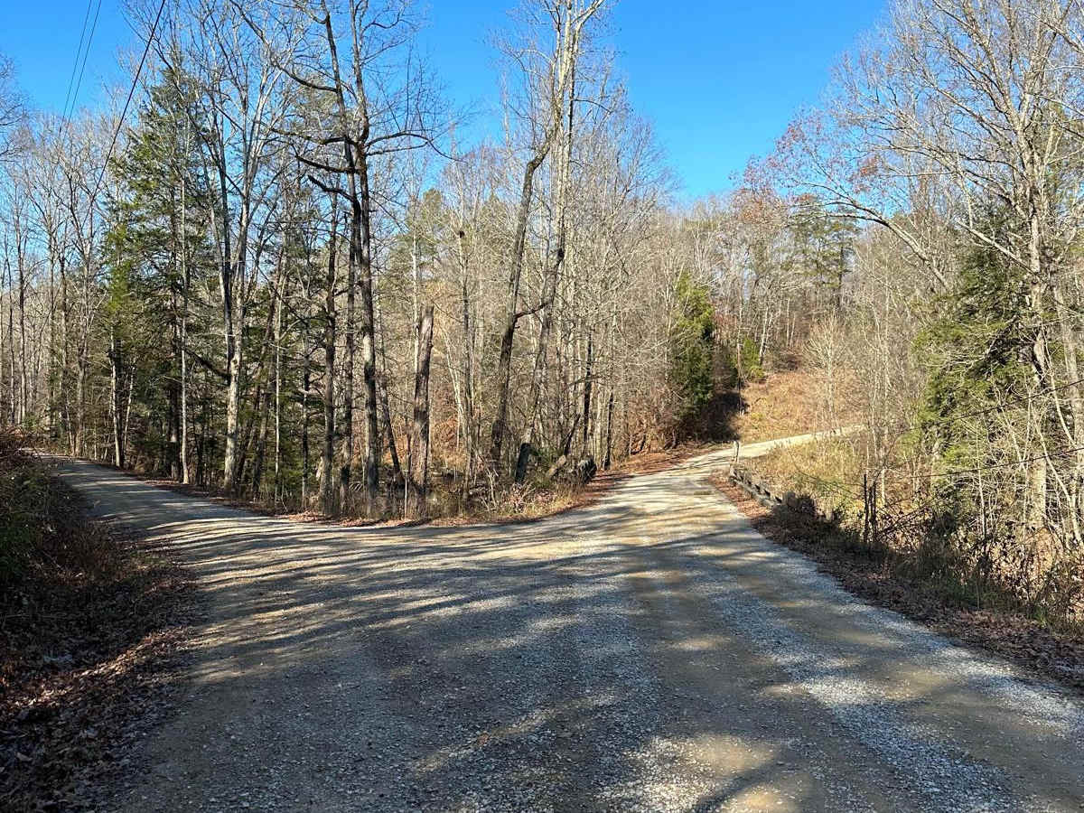 Mount Olive photo 5