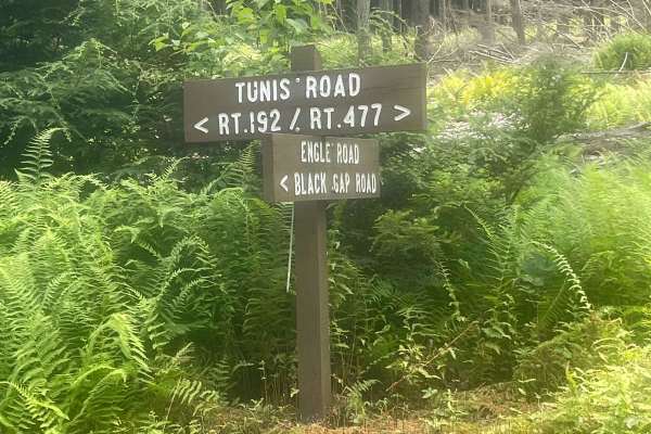 White Deer Creek Road