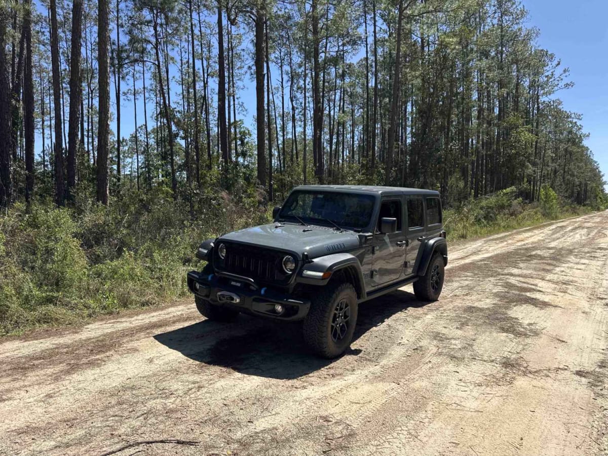 Black Water Creek - ONF 61 photo 3