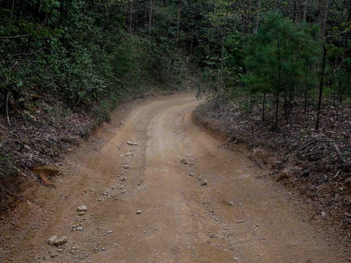 P62 photo 3