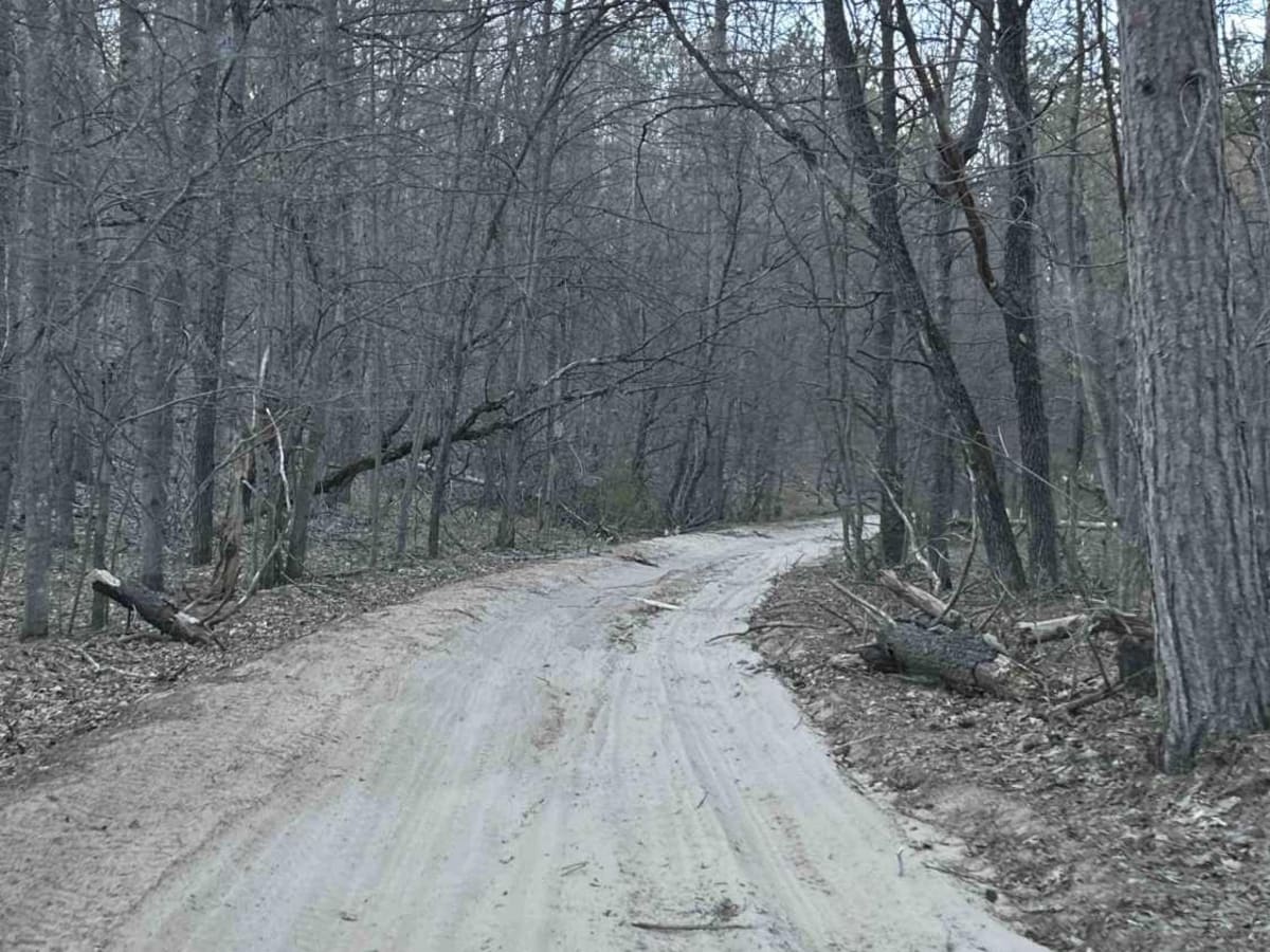 Bull Gap Hill Climb Area photo 3