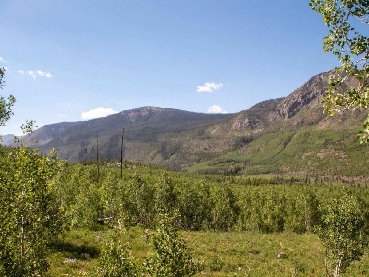 East Fork Bear River photo 2