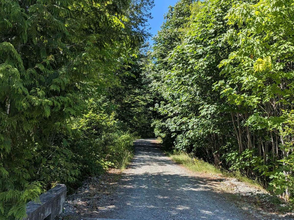 Back Road photo 3