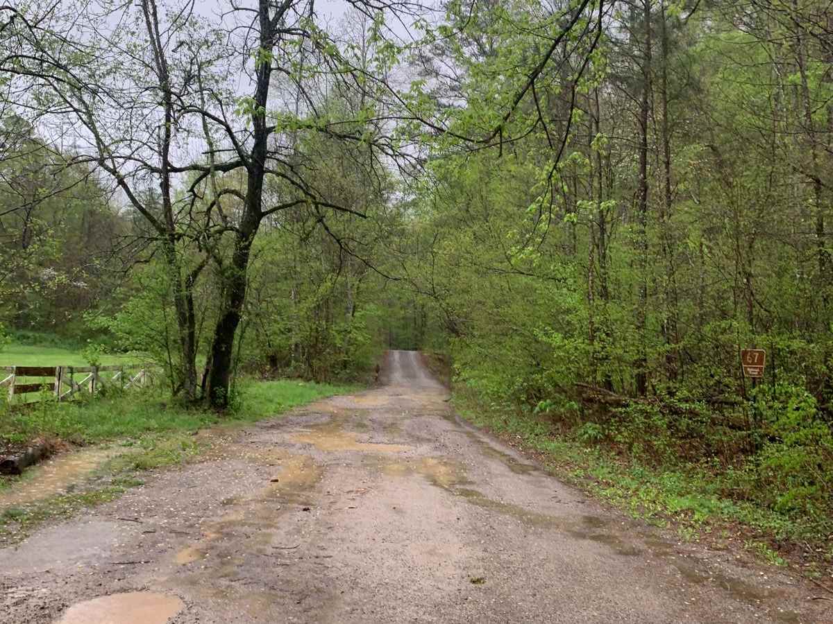 Blue Ridge Trail - Big Frog trail photo