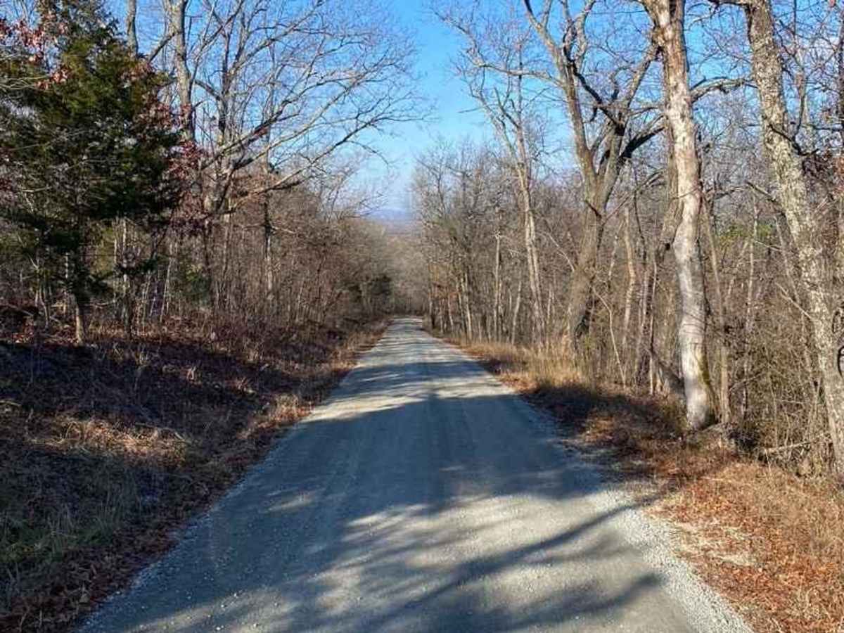Knob Lick Tower Road photo 4