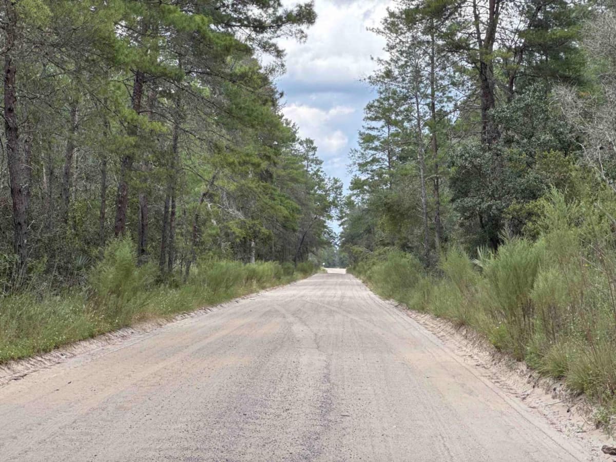 Railroad Grade Trail - ONF 57 photo 4