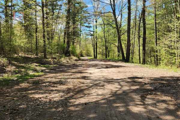 Trail 77