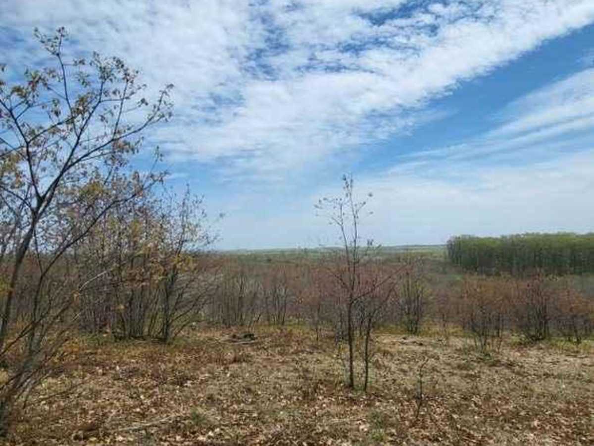 St. Helen ORV Route - South photo 2