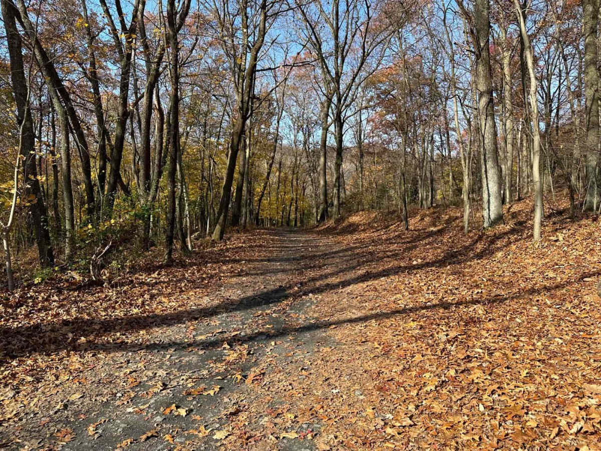 Ashland 2 photo 2